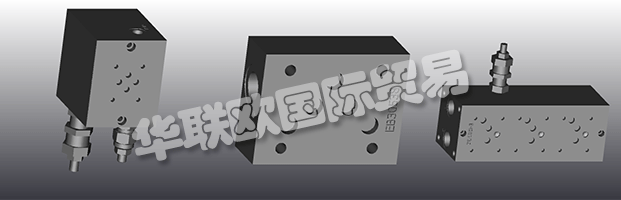 EUROFLUID Hydraulic是一家大型公司，專門生產(chǎn)液壓設(shè)備的歧管。