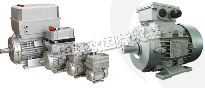 意大利BERMAR公司的主要產(chǎn)品包括：意大利BERMAR電機(jī)、BERMAR電動(dòng)機(jī)、異步電機(jī)、異步電動(dòng)機(jī)、永磁發(fā)動(dòng)機(jī)、逆變器、伺服通風(fēng)電動(dòng)機(jī)、伺服電動(dòng)機(jī)、工業(yè)洗衣機(jī)電動(dòng)機(jī)、單相電動(dòng)機(jī)、DRIVEJET鼓風(fēng)機(jī)、高效電機(jī)、泵、風(fēng)扇、工業(yè)壓縮機(jī)。
